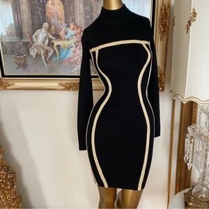Hera Collection Bodycon Form Fitting Sweater Dress